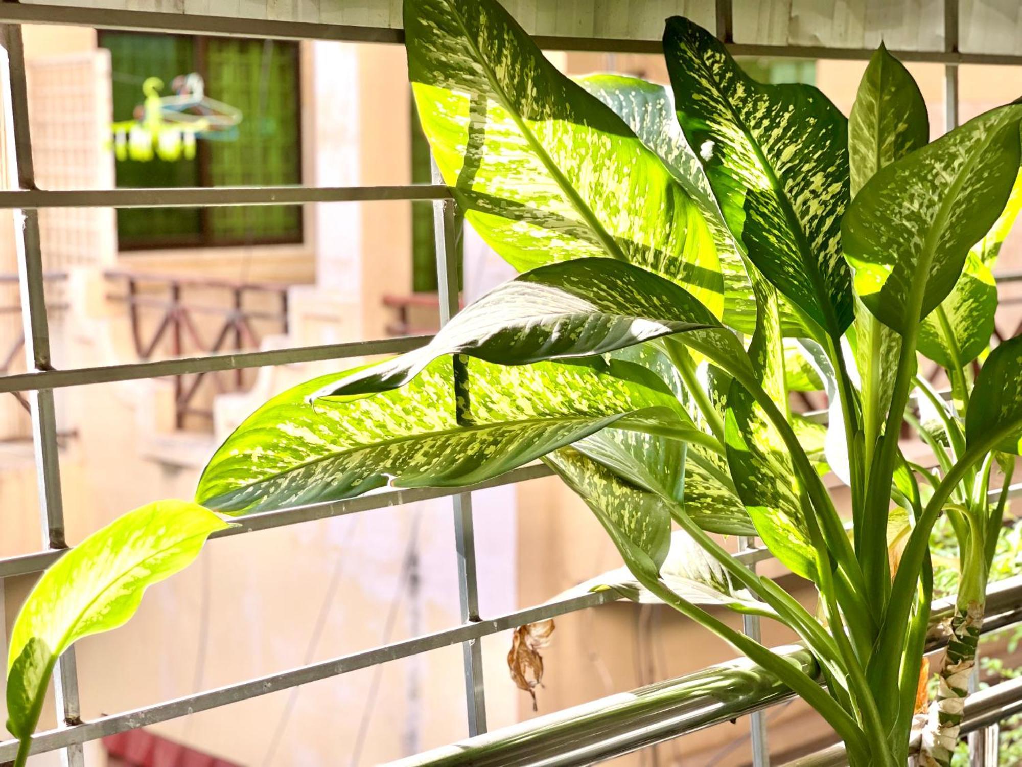 Sky Apartments Riverside - 50M To Royal Palace Phnom Penh Luaran gambar